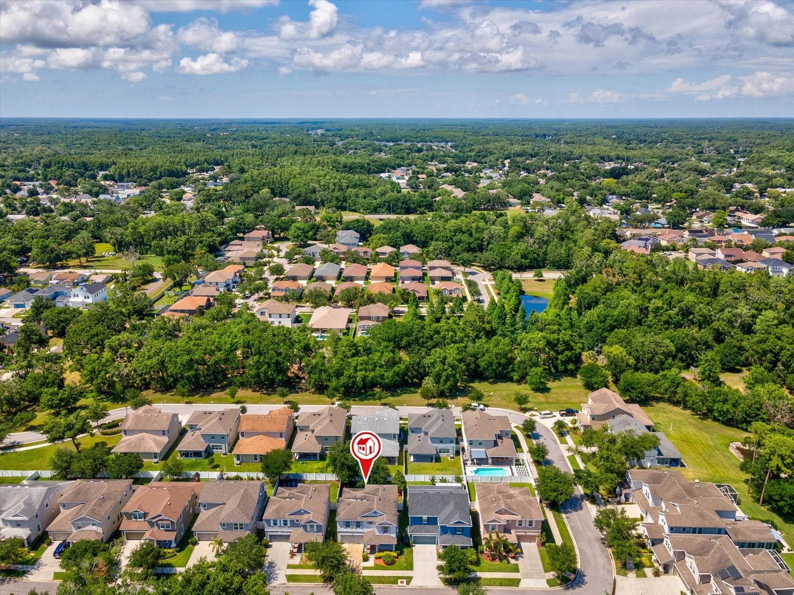 7105 Park Tree Drive Tampa FL 33625 A4693641 image35