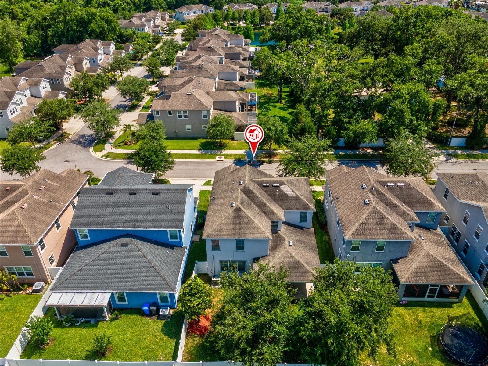 7105 Park Tree Drive Tampa FL 33625 A4693641 image40