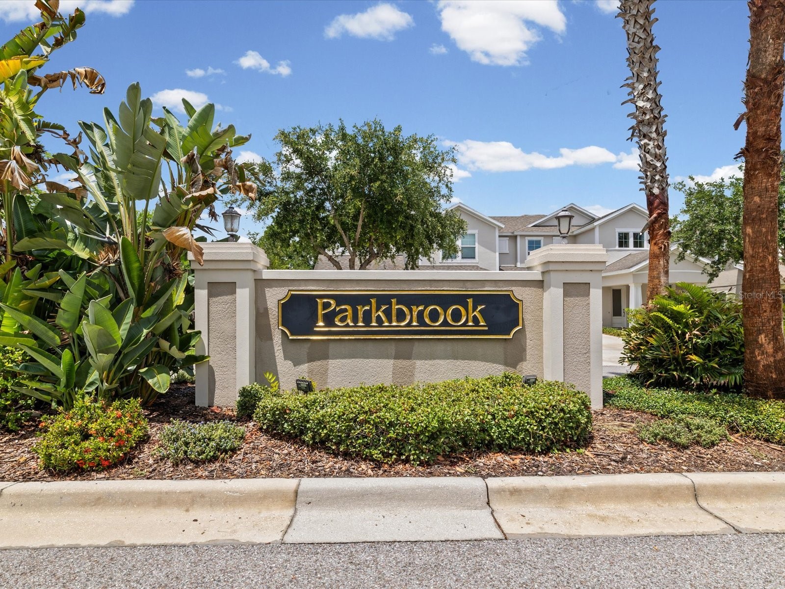 7105 Park Tree Drive Tampa FL 33625 A4693641 image42