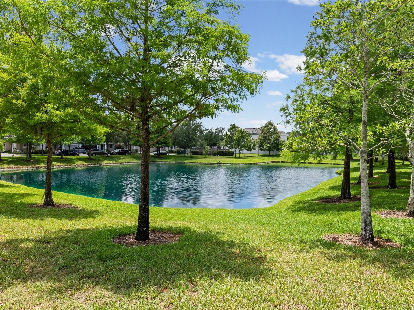 7105 Park Tree Drive Tampa FL 33625 A4693641 image43