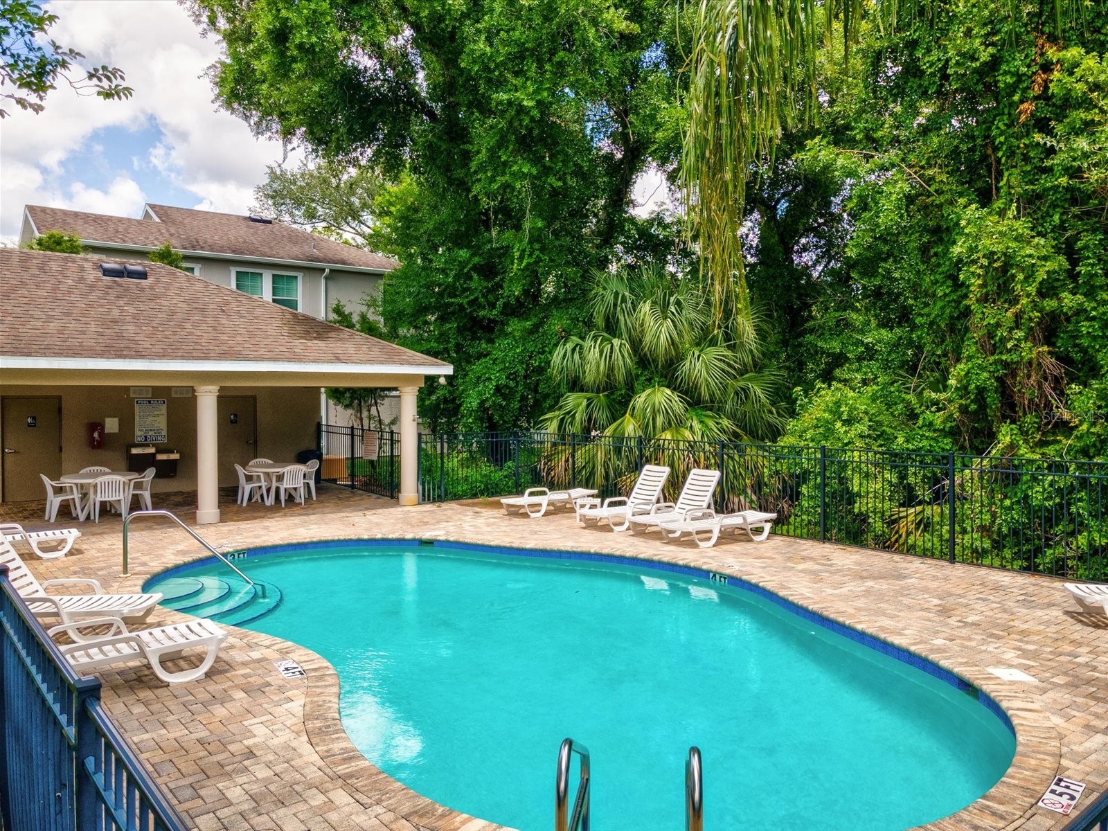 7105 Park Tree Drive Tampa FL 33625 A4693641 image48