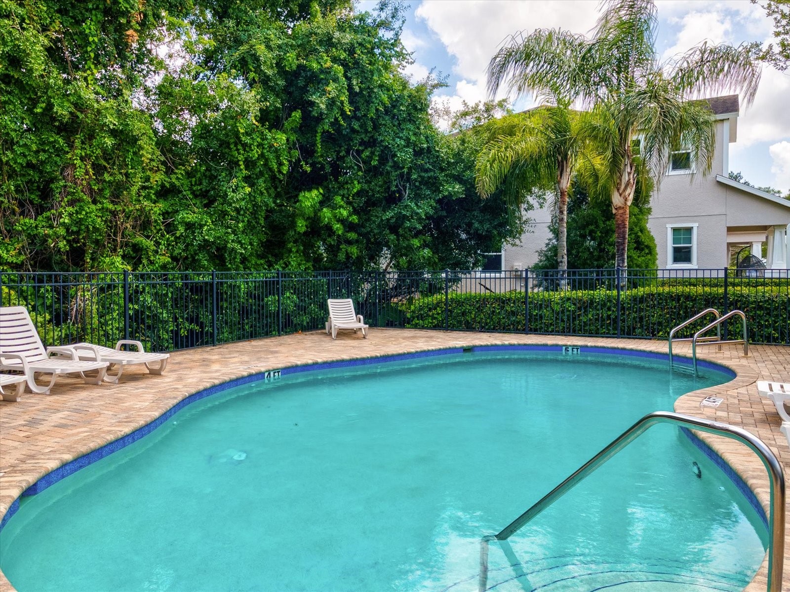 7105 Park Tree Drive Tampa FL 33625 A4693641 image50