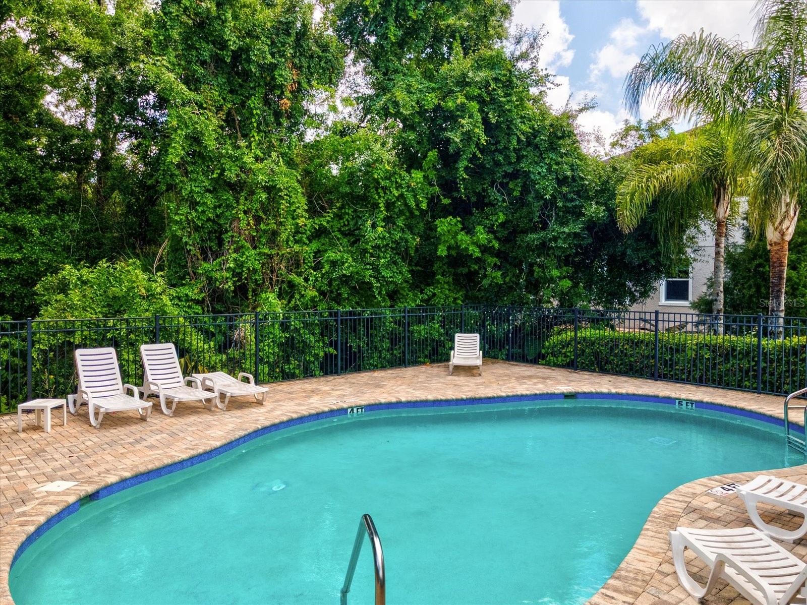 7105 Park Tree Drive Tampa FL 33625 A4693641 image51