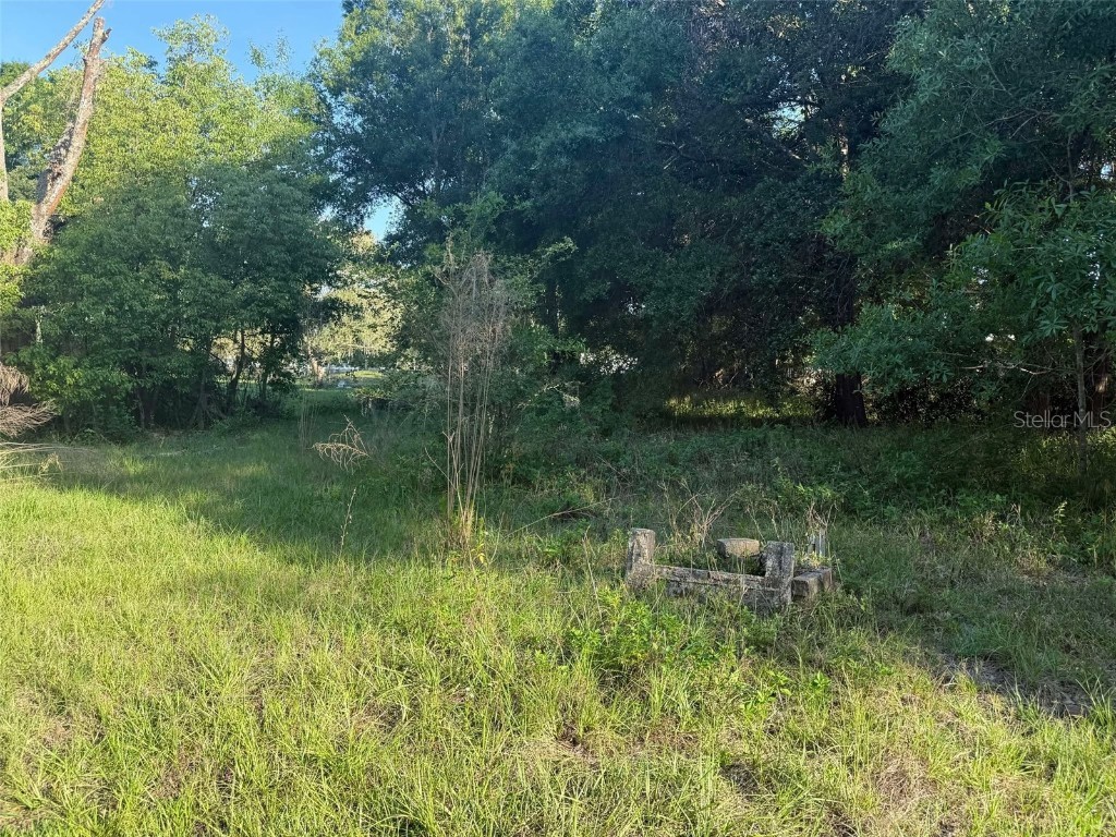 7106 Sky Drive Wesley Chapel FL 33545 TB8339784 image1