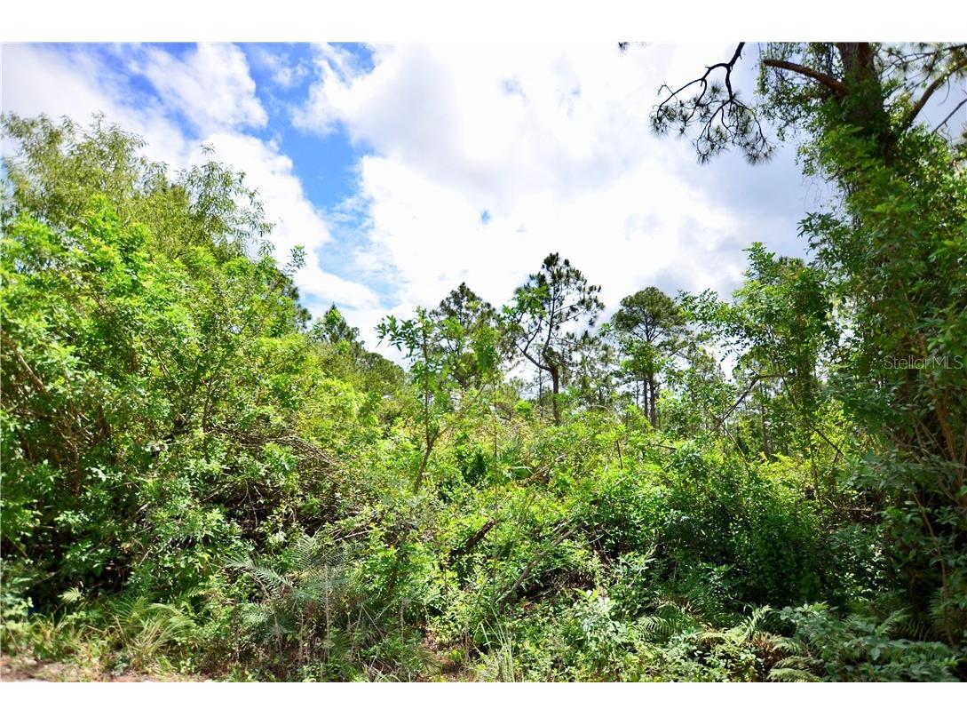 7107 Acorn Boulevard Punta Gorda FL 33982 C7415309 image1