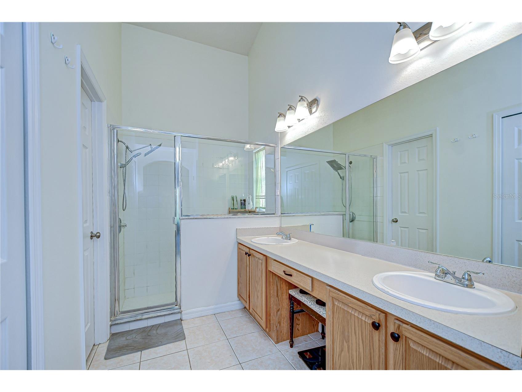 7107 Colonial Lake Dr Riverview FL 33578 TB8480288 image17