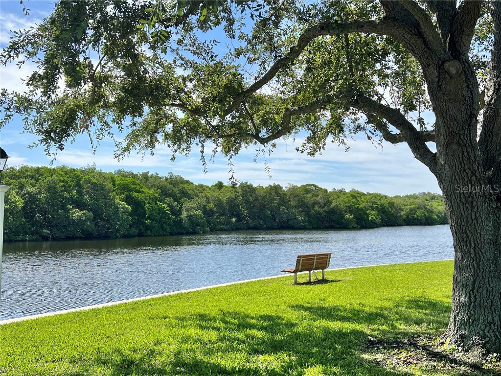 7107 Mount Essex Drive NE #520 Saint Petersburg FL 33702 - TAMPA BAY TB8454306 image26