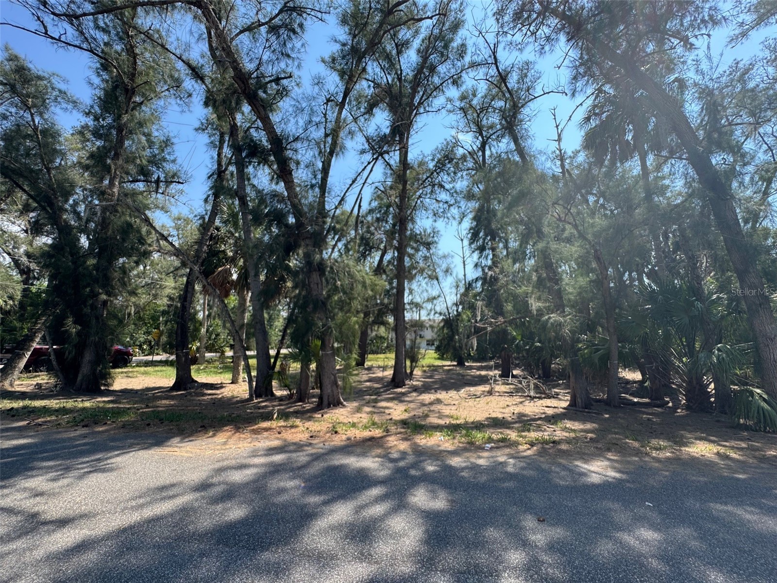 7107 Oakwood Drive New Port Richey FL 34652 A4688461 image1