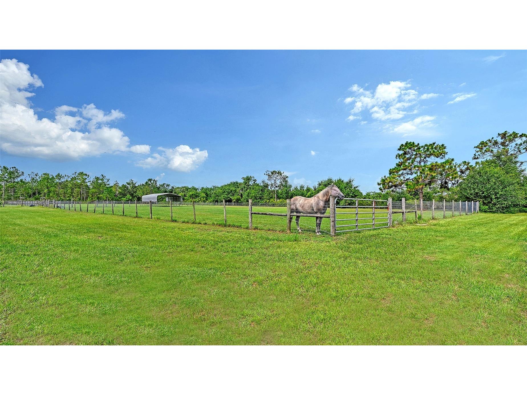7108 229th Street E Bradenton FL 34211 A4699243 image68
