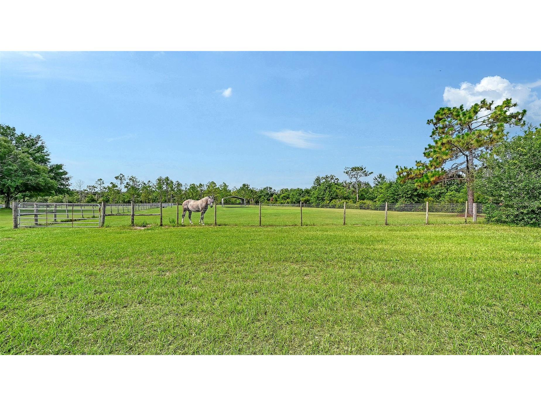 7108 229th Street E Bradenton FL 34211 A4699243 image69