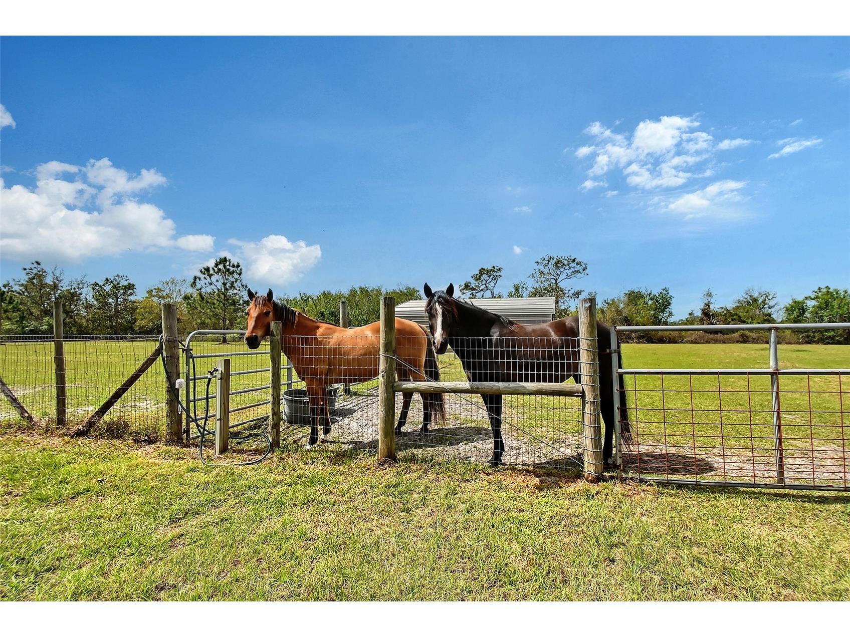 7108 229th Street E Bradenton FL 34211 A4699243 image71