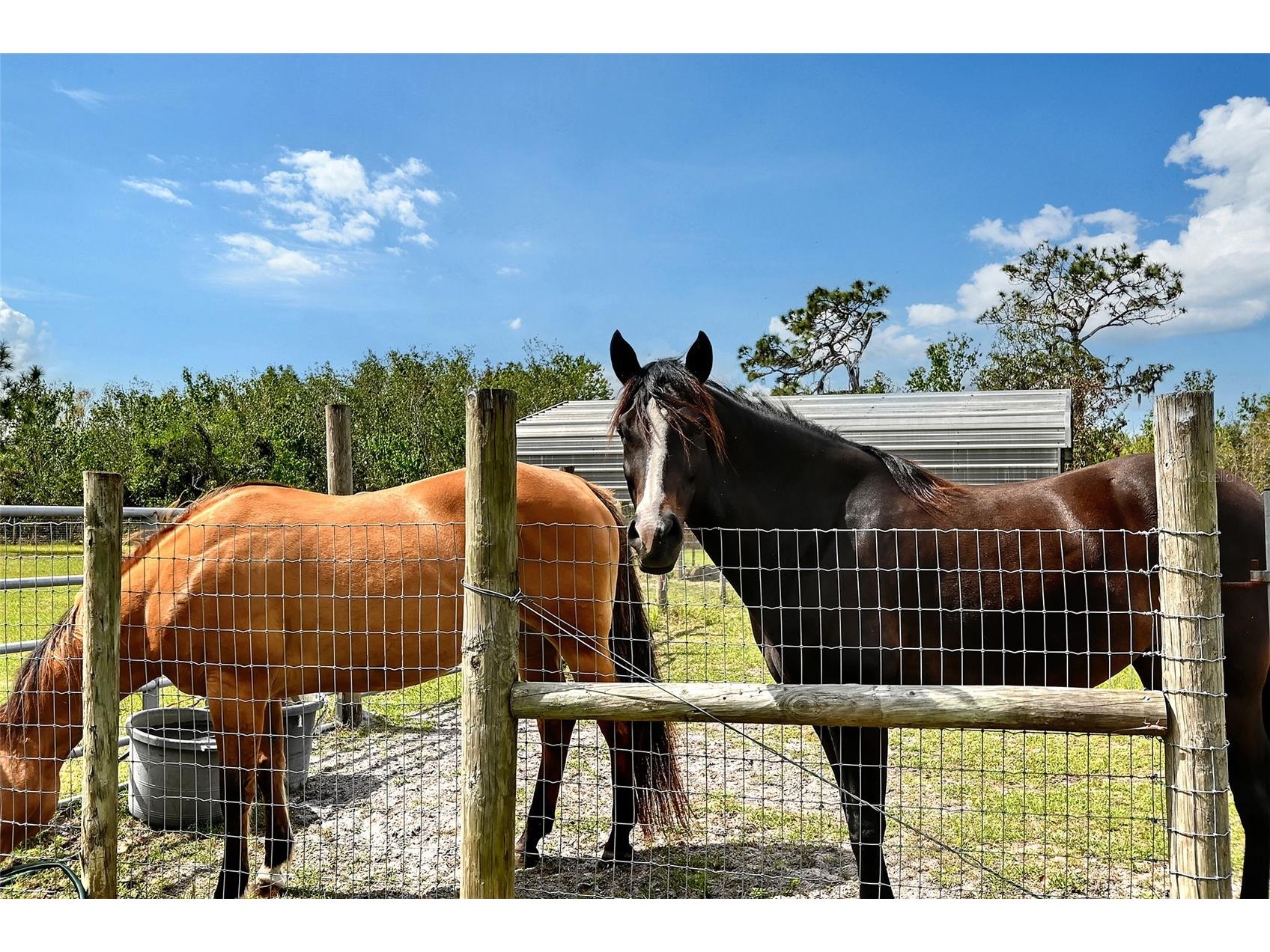 7108 229th Street E Bradenton FL 34211 A4699243 image72