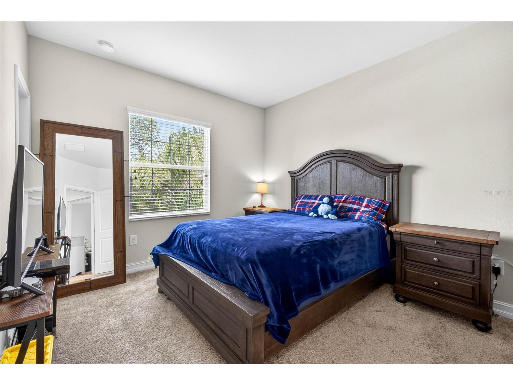 7109 Bay Laurel Wesley Chapel FL 33545 TB8516314 image39