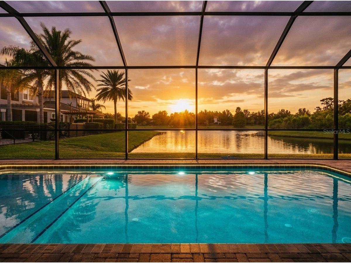 7109 Bay Laurel Wesley Chapel FL 33545 TB8516314 image6