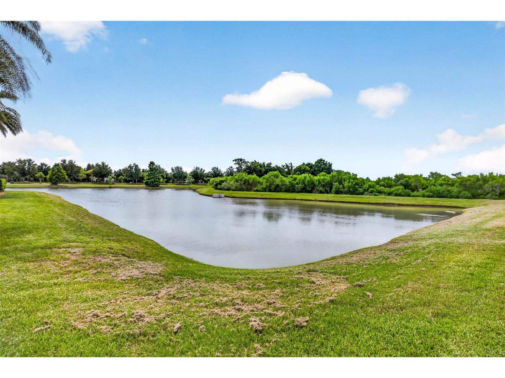 7109 Bay Laurel Wesley Chapel FL 33545 TB8516314 image62