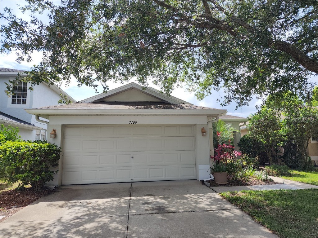 7109 Kendall Heath Way Land O Lakes FL 34637 T3449876 image1