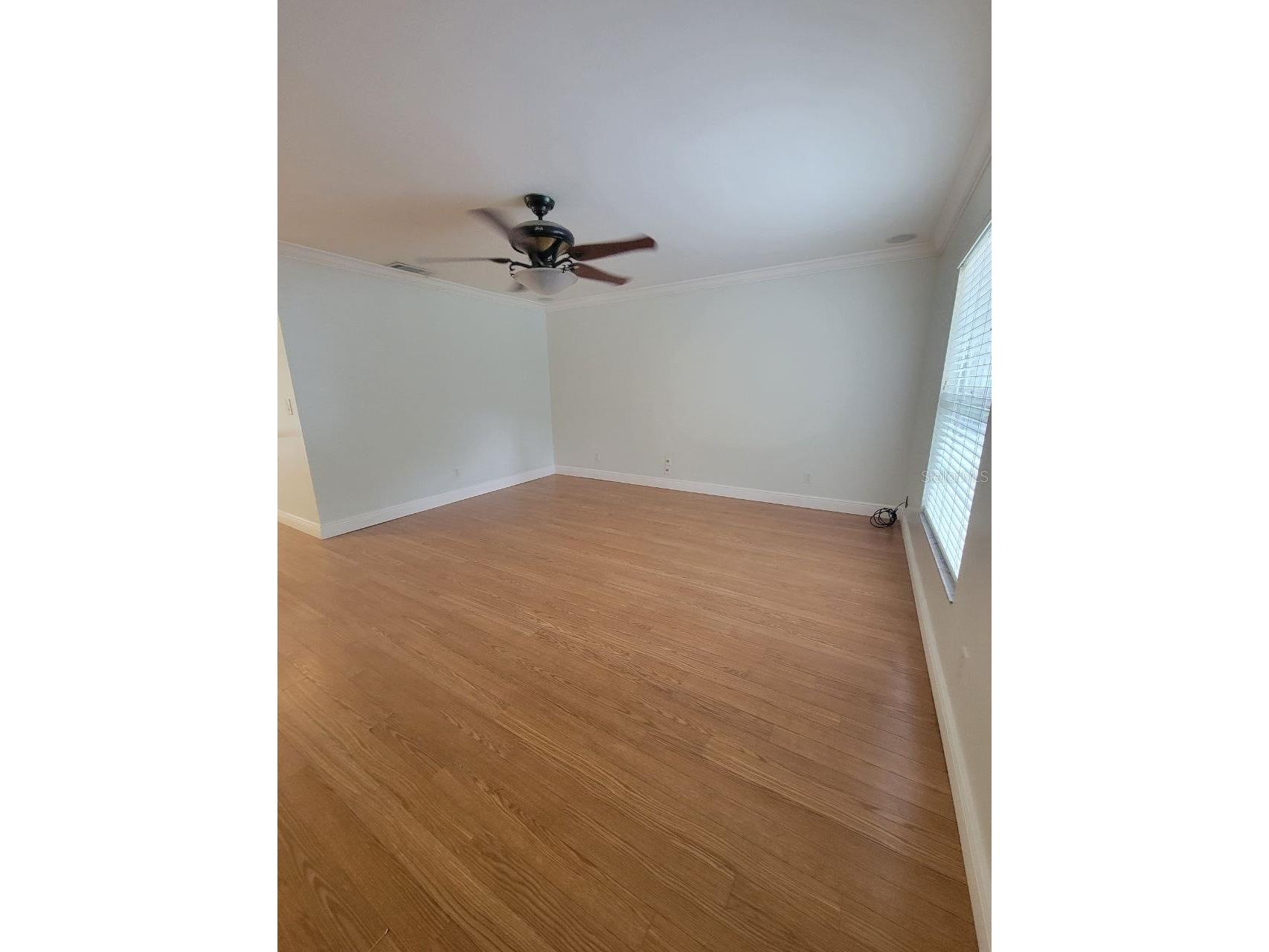 7109 S Shamrock Road Tampa FL 33616 TB8526134 image3