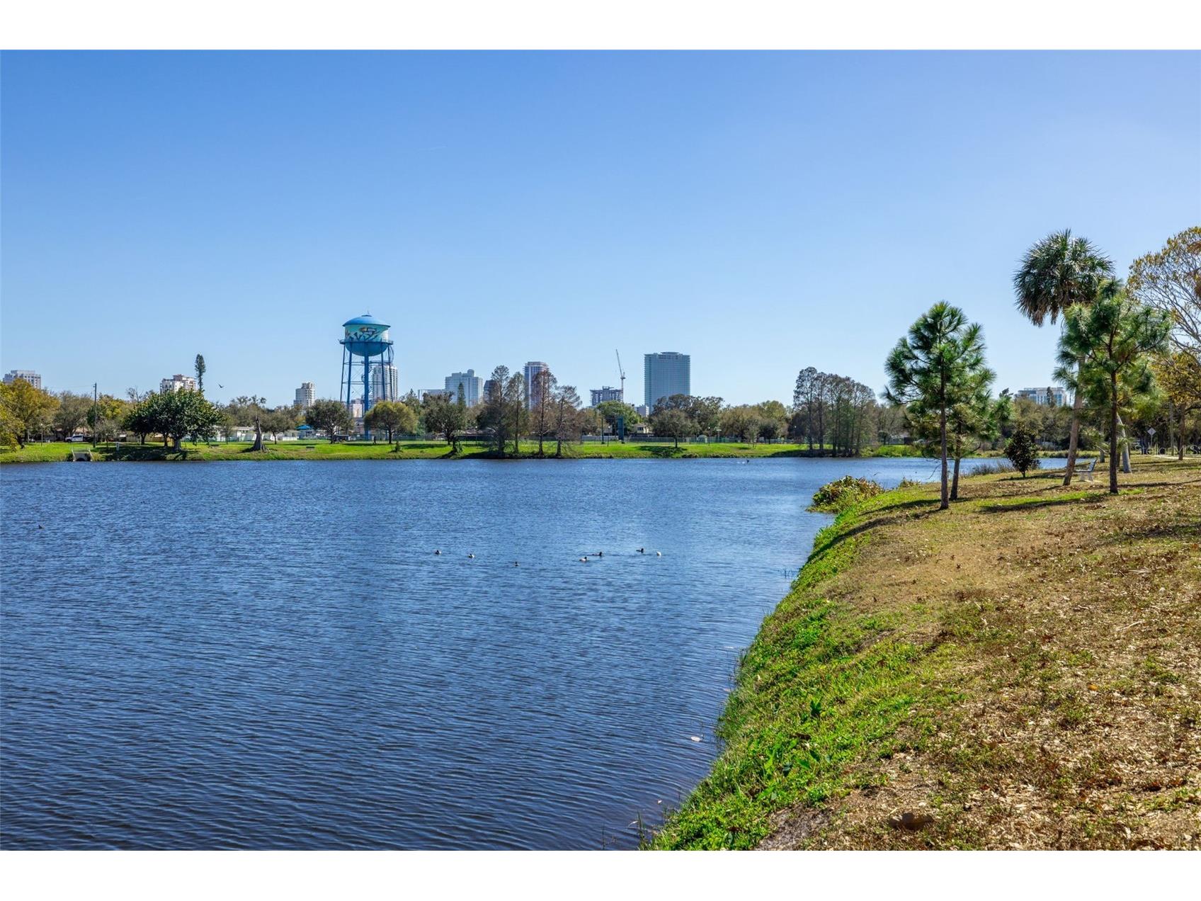 711 12th Avenue N Saint Petersburg FL 33701 TB8468923 image12