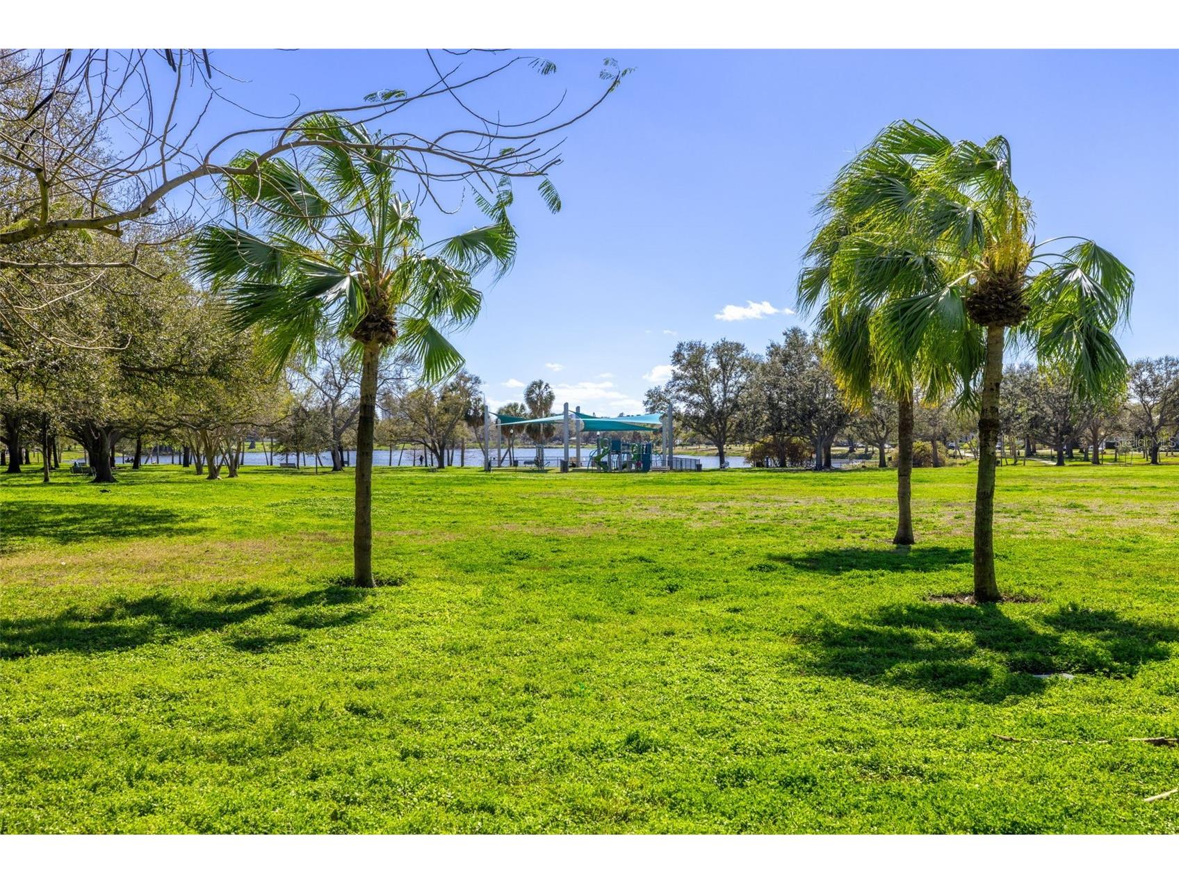 711 12th Avenue N Saint Petersburg FL 33701 TB8468923 image9