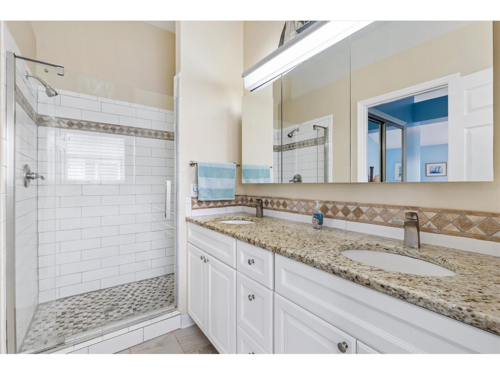 711 Agua Way Lady Lake FL 32159 OM721529 image9