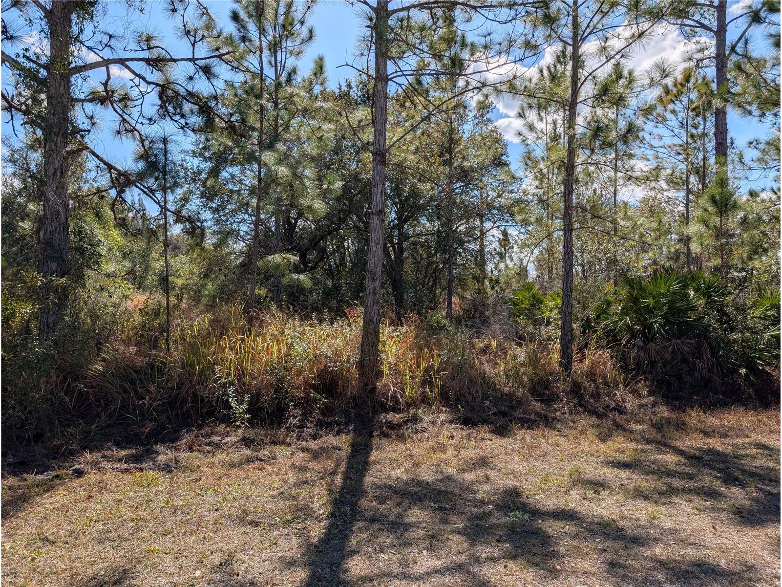 711 Azalea Drive Indian Lake Estates FL 33855 - LAKE WALK-IN-WATER P4937718 image1