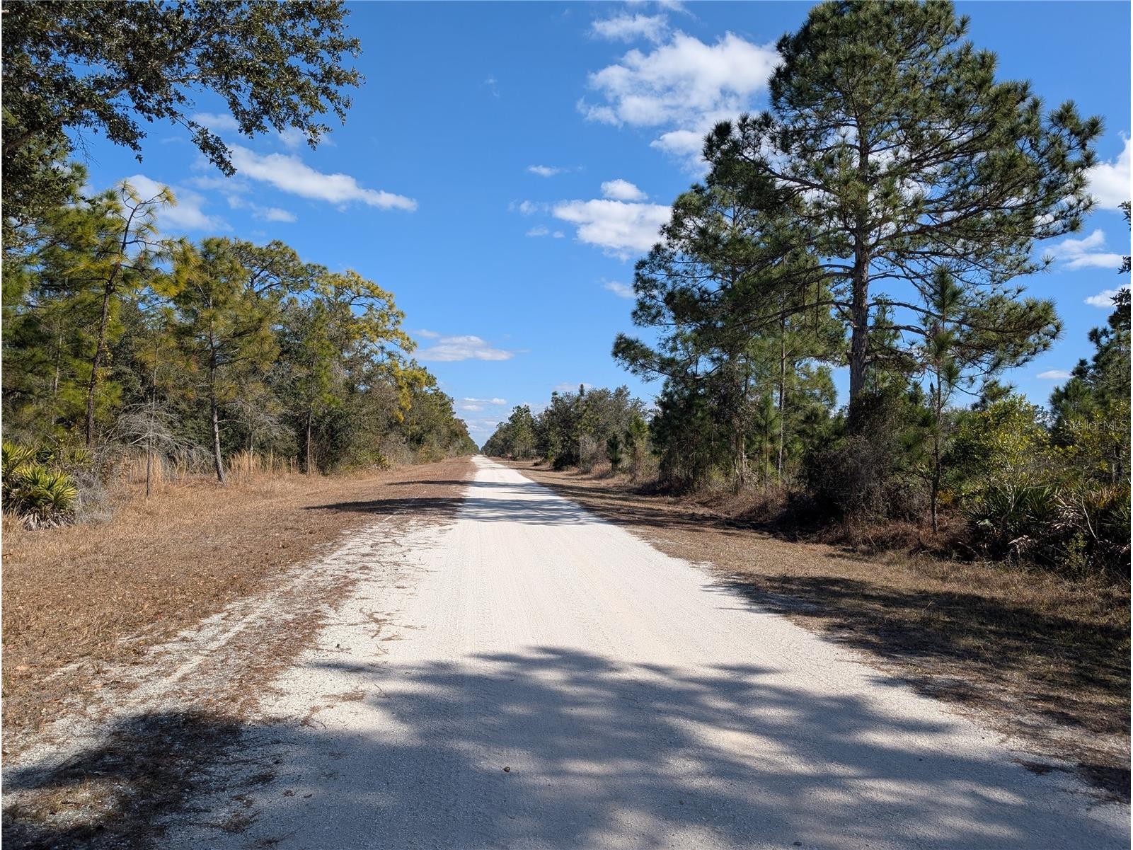 711 Azalea Drive Indian Lake Estates FL 33855 - LAKE WALK-IN-WATER P4937718 image5