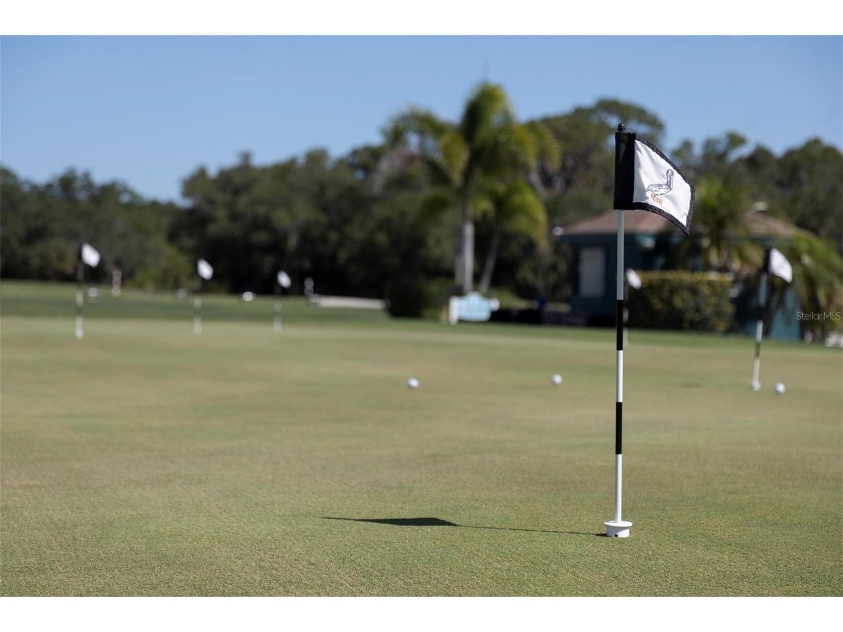 711 Back Nine Drive Venice FL 34285 N6142445 image83