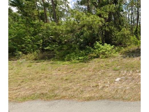 711 Brannen Avenue Lehigh Acres FL 33974 W7856858 image1