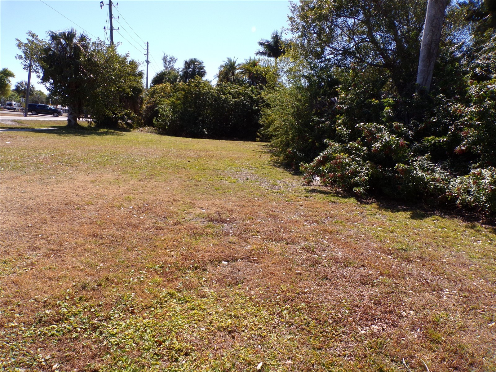 711 Cooper Street Punta Gorda FL 33950 C7521759 image19