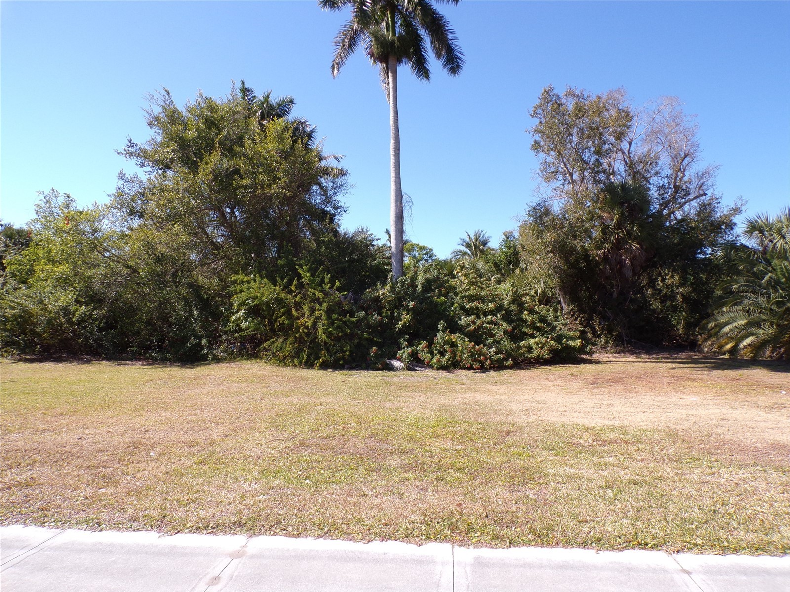 711 Cooper Street Punta Gorda FL 33950 C7521759 image8