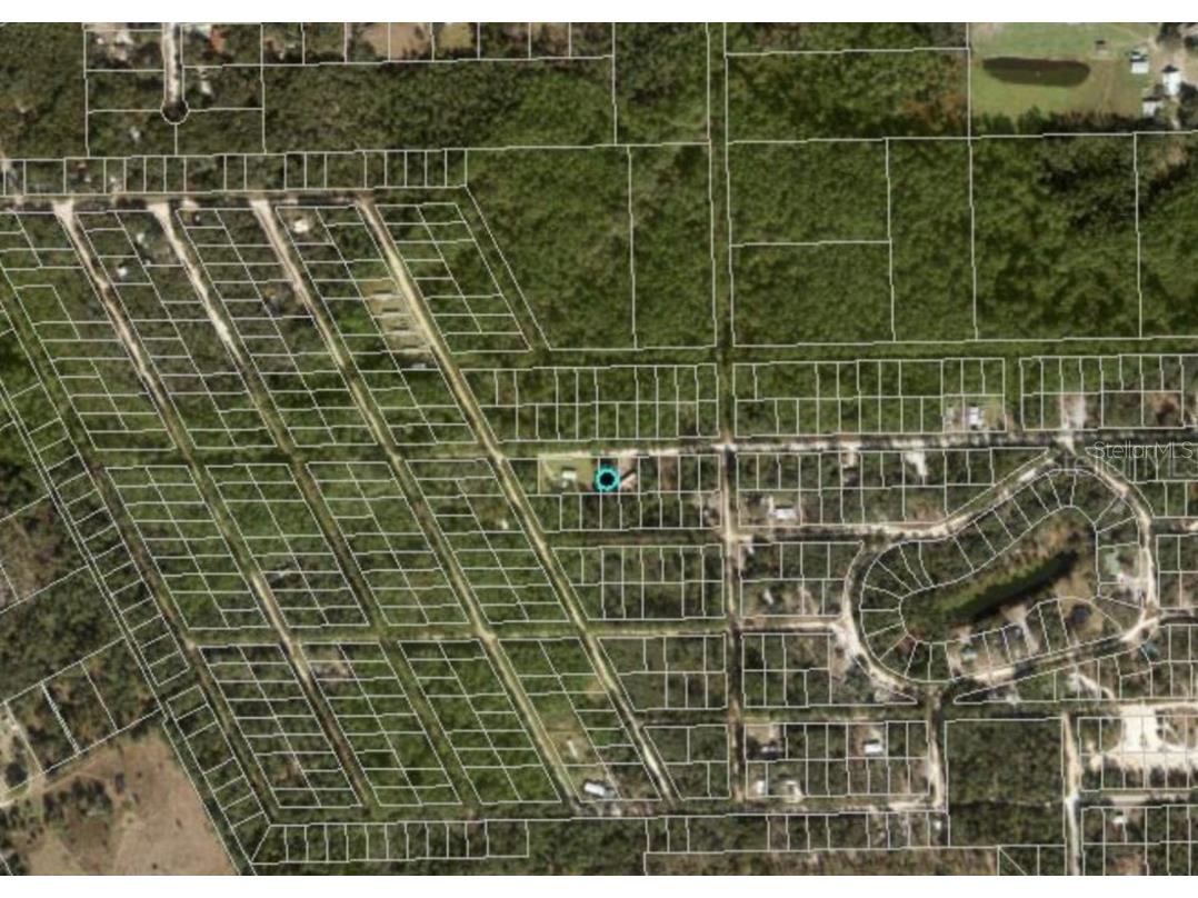 711 Hickory Nut Trail Satsuma FL 32189 C7512183 image3