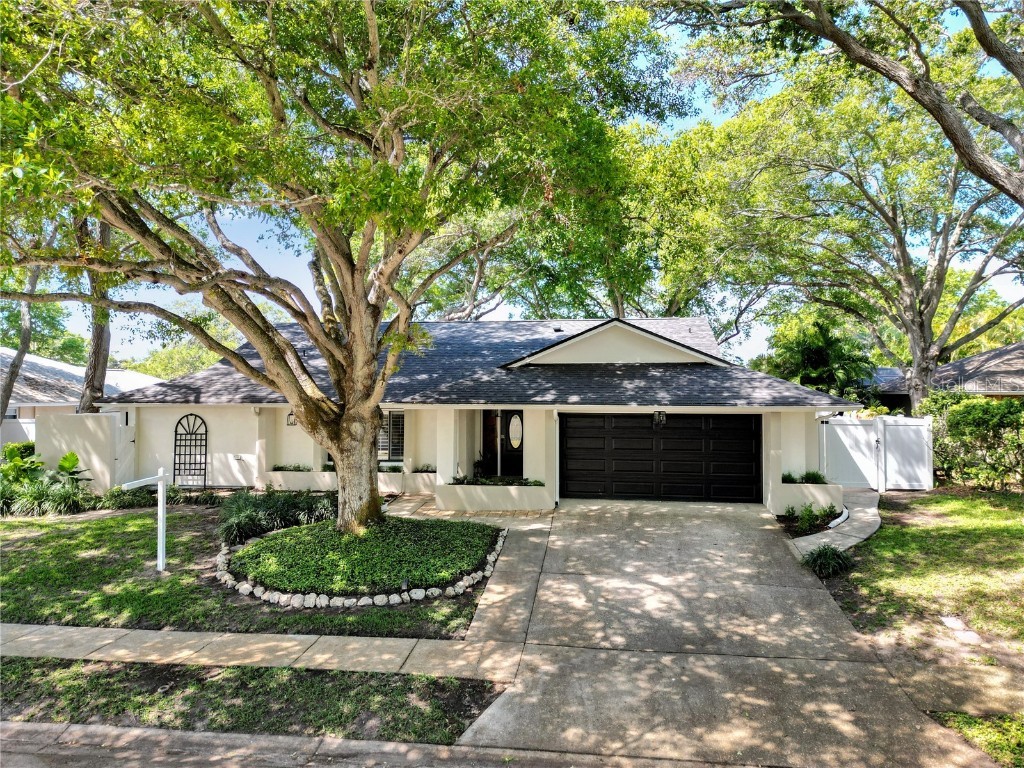 711 Knollwood Drive Largo FL 33770 U8193223 image1