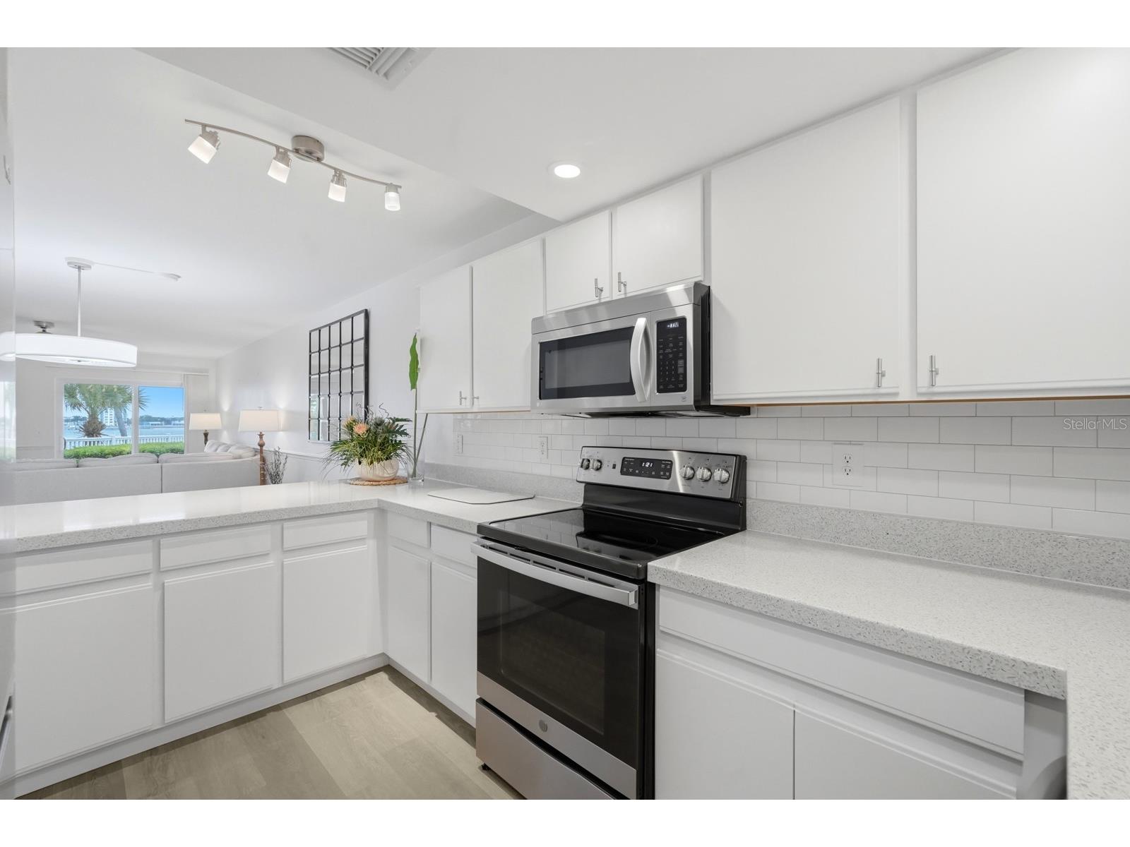 711 N Halifax Avenue #101 Daytona Beach FL 32118 FC316981 image7