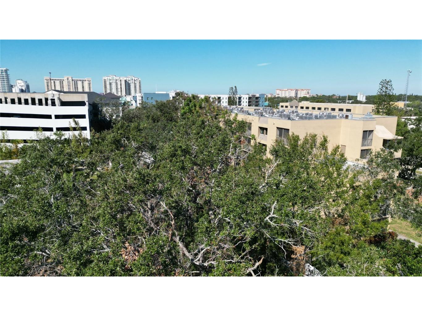 711 N Orange Avenue Sarasota FL 34236 A4671980 image5