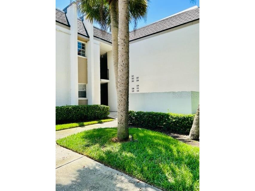 711 Russell Lane #243 Brandon FL 33510 T3458972 image1