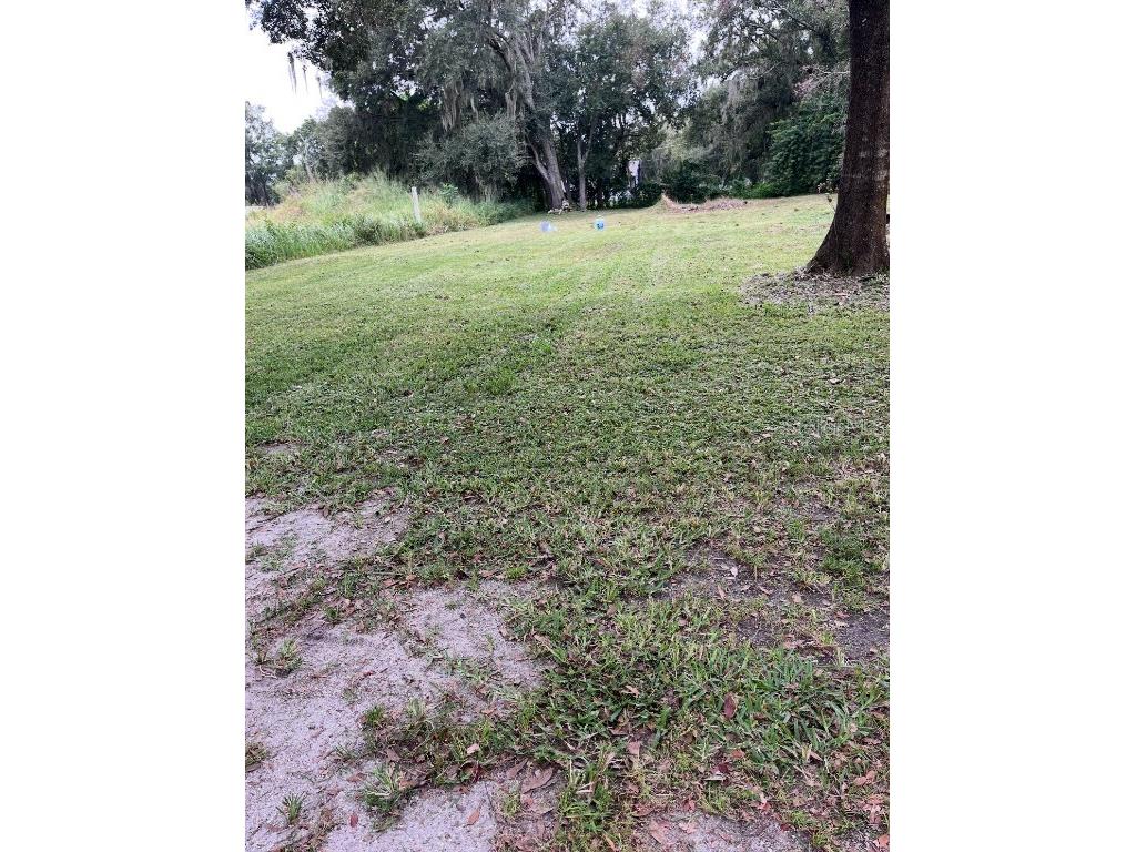 711 S Marshall Street Plant City FL 33563 TB8448531 image1