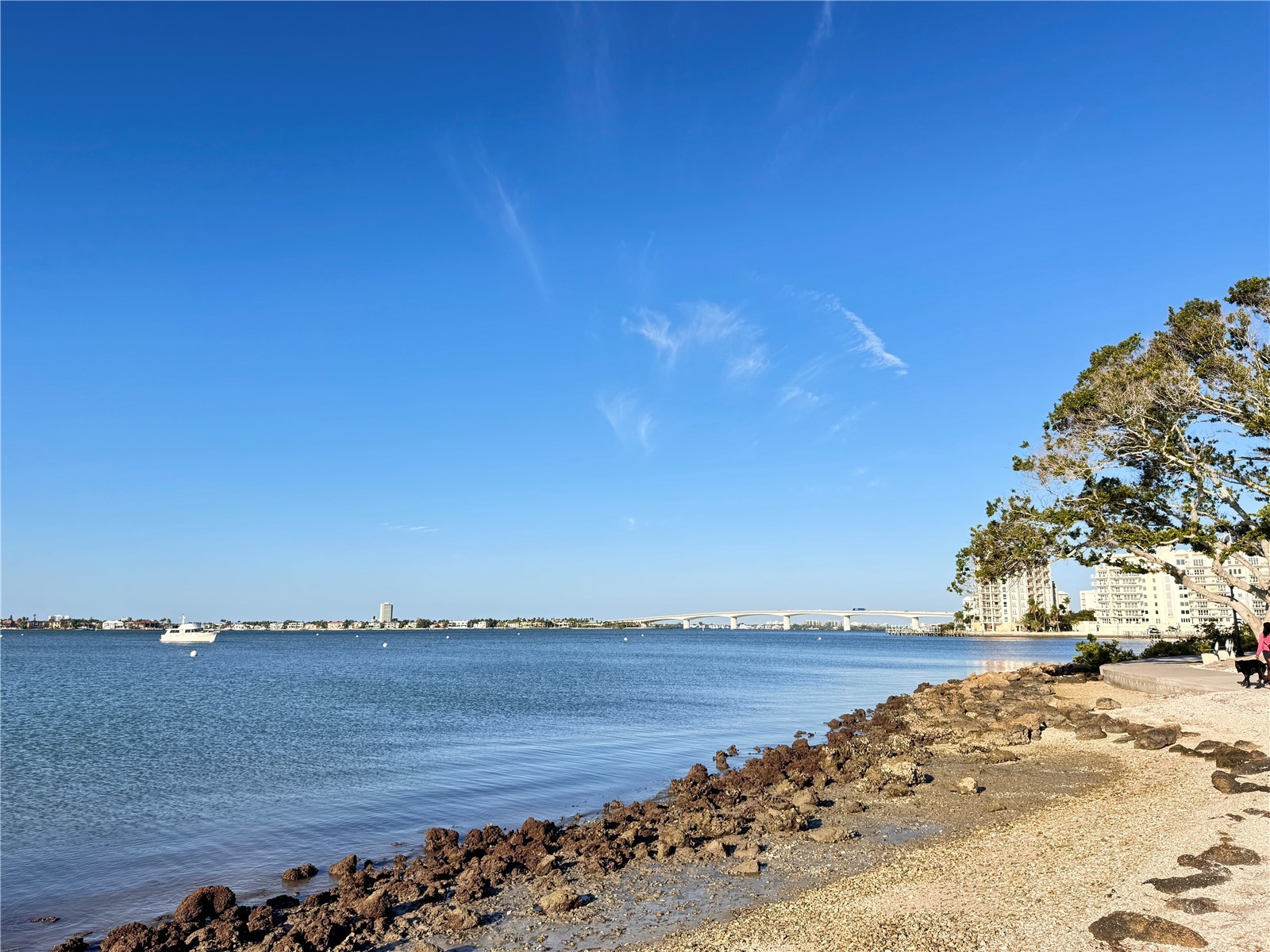 711 S Palm Avenue #303 Sarasota FL 34236 A4666261 image43