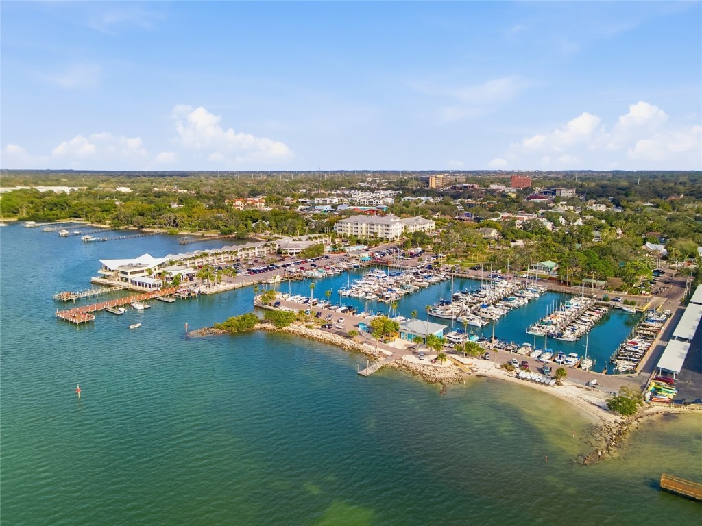 711 San Salvador Drive Dunedin FL 34698 TB8454321 image58