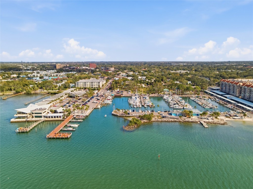 711 San Salvador Drive Dunedin FL 34698 TB8454321 image59