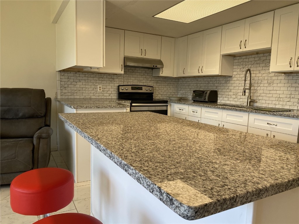 711 Springer Drive #9 Lake Wales FL 33853 - LAKE WAILES LAKE K4902832 image5