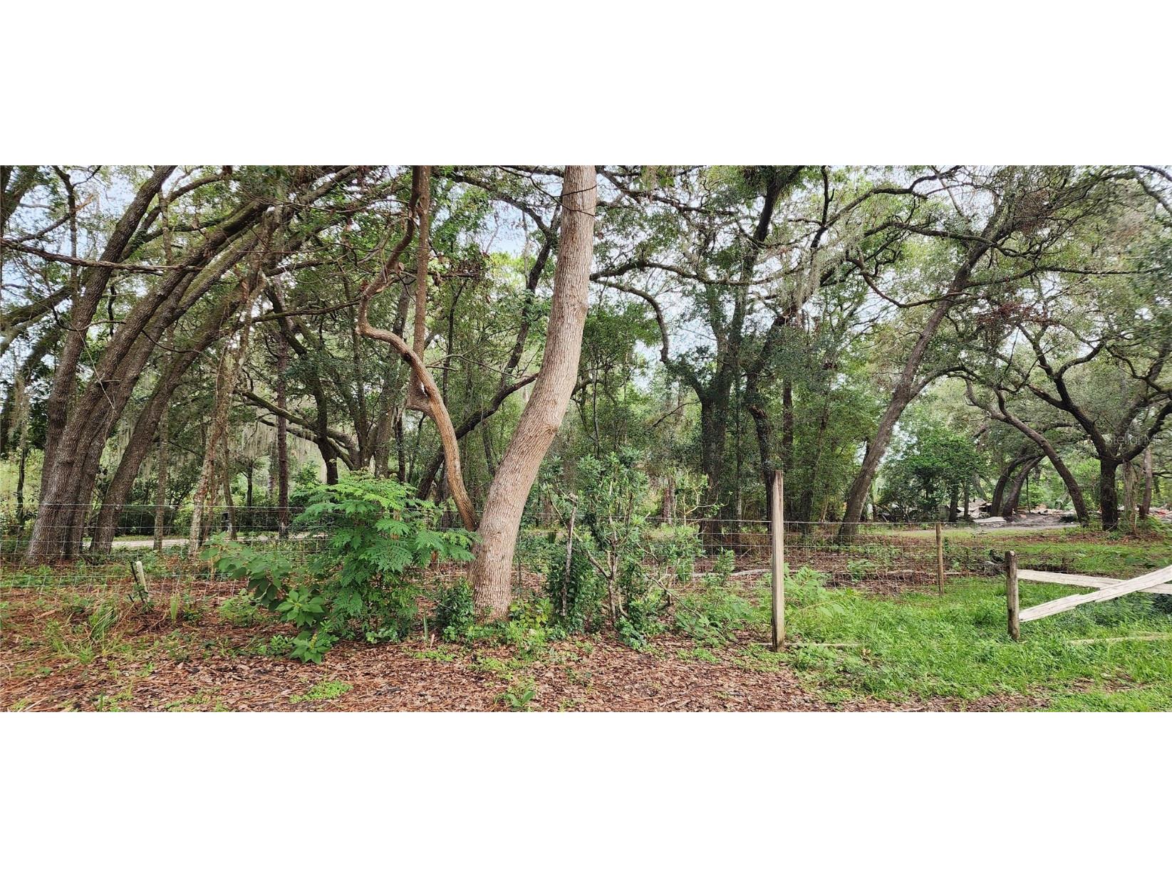 711 Sunset Avenue Orange City FL 32763 V4944581 image1