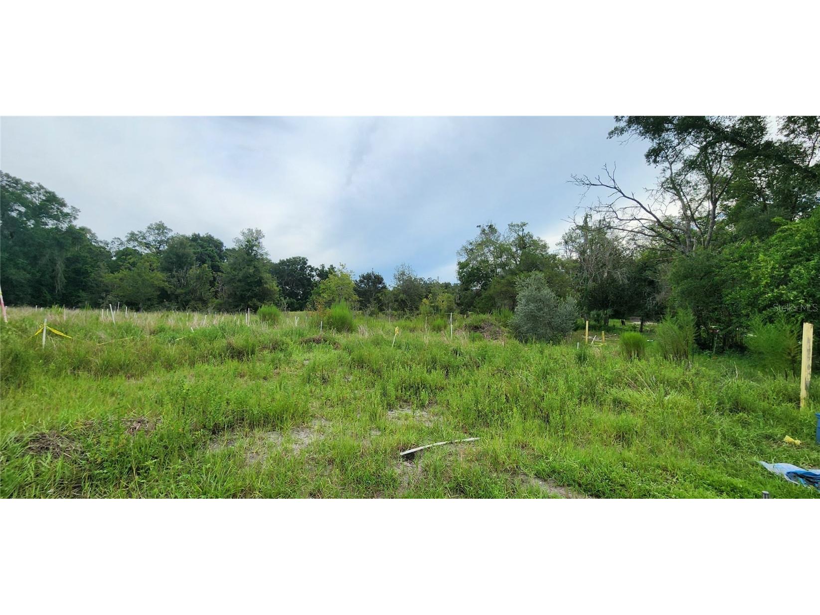 711 Sunset Avenue Orange City FL 32763 V4944581 image10