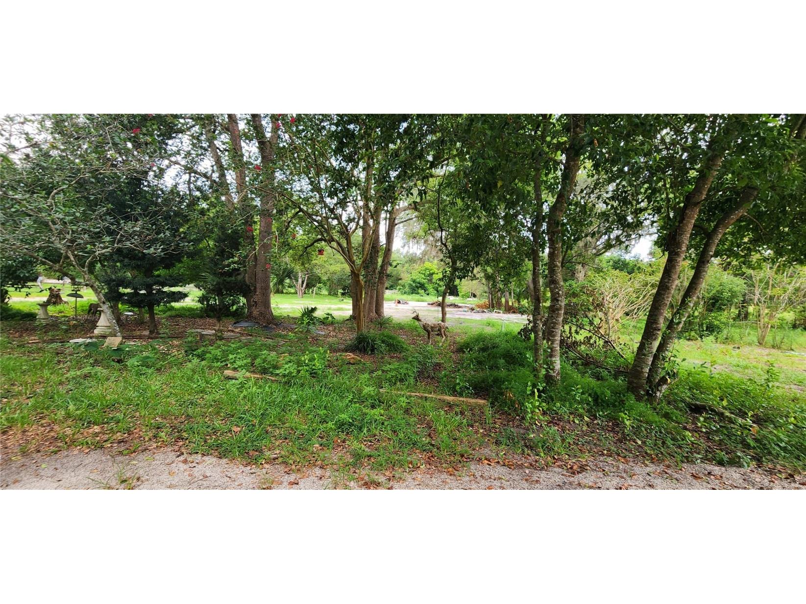 711 Sunset Avenue Orange City FL 32763 V4944581 image11