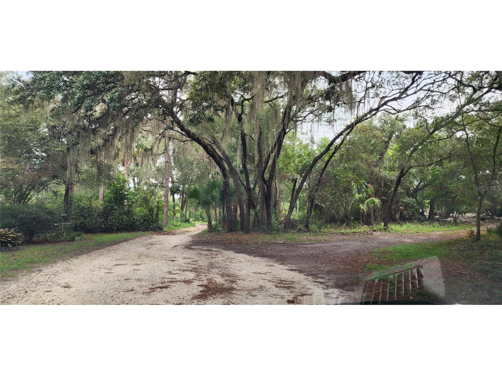 711 Sunset Avenue Orange City FL 32763 V4944581 image4