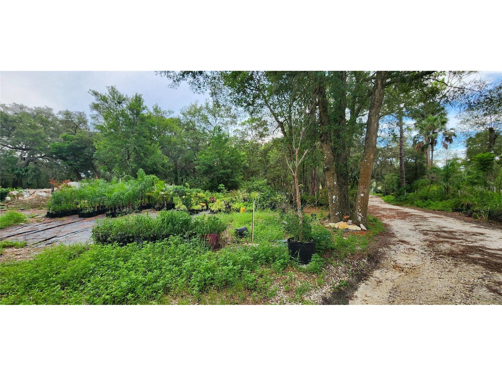 711 Sunset Avenue Orange City FL 32763 V4944581 image5