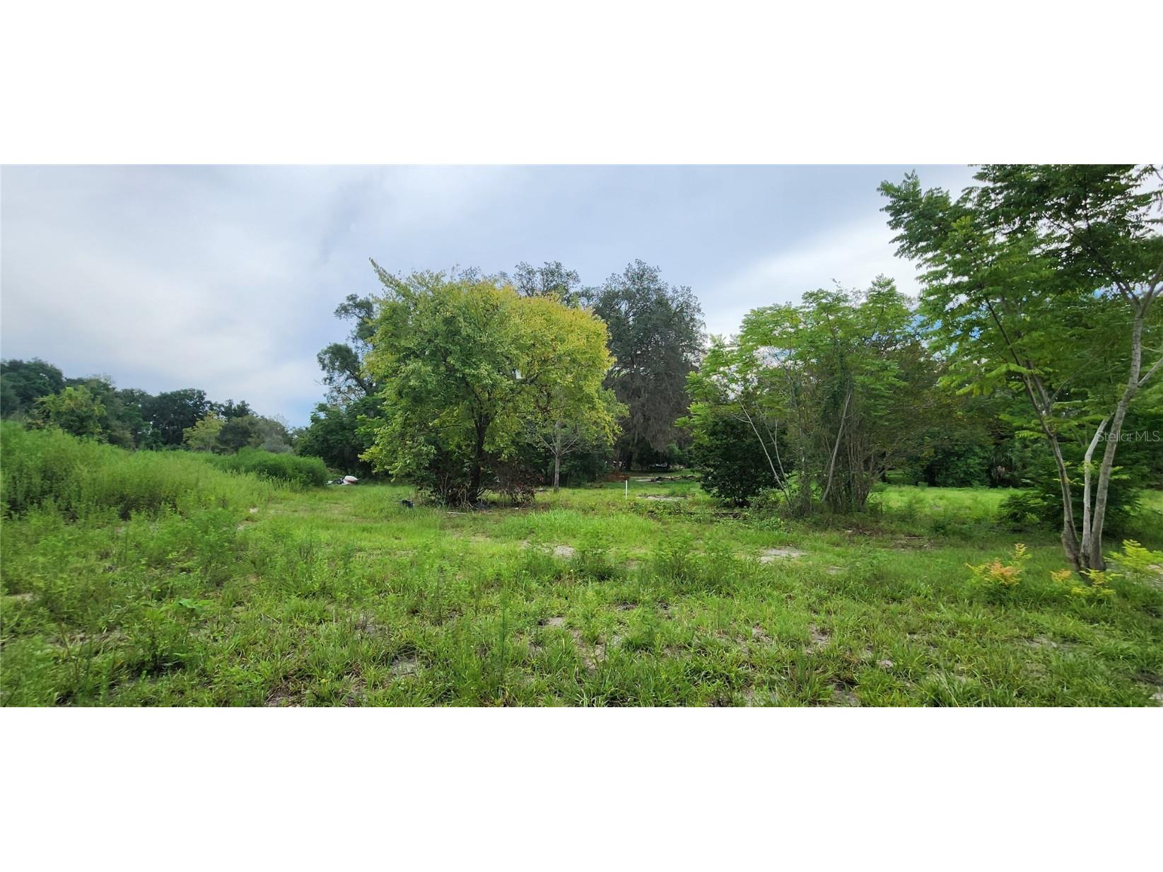 711 Sunset Avenue Orange City FL 32763 V4944581 image9