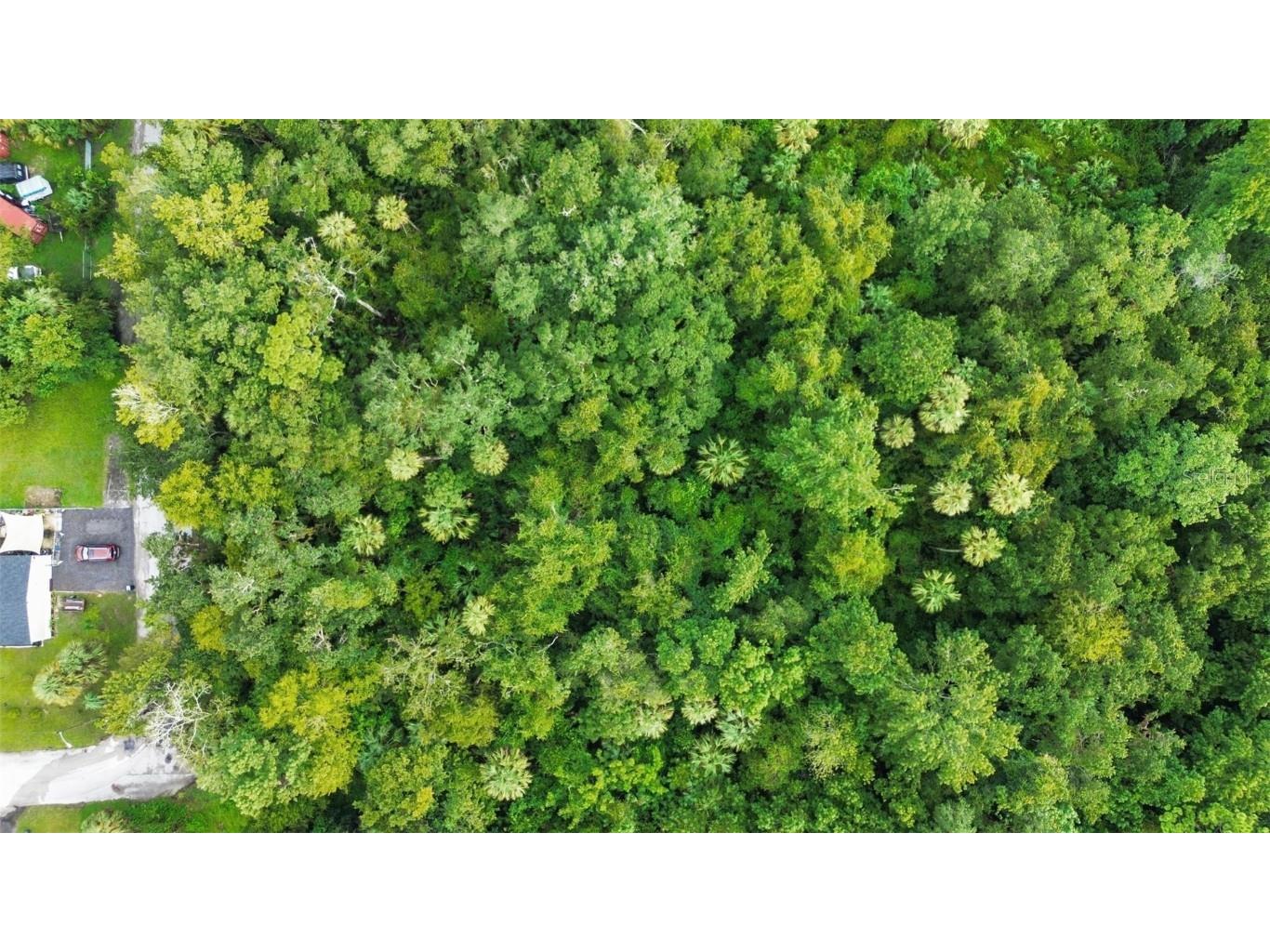 711 Tennessee Terrace Ormond Beach FL 32174 S5135030 image7