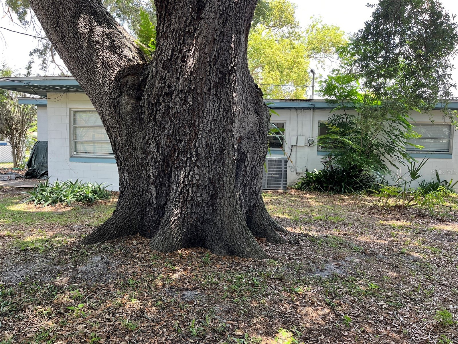 7110 Alvina Way Orlando FL 32822 O6410034 image9