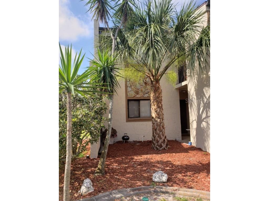 7110 Cognac Drive #2 New Port Richey FL 34653 TB8426547 image2