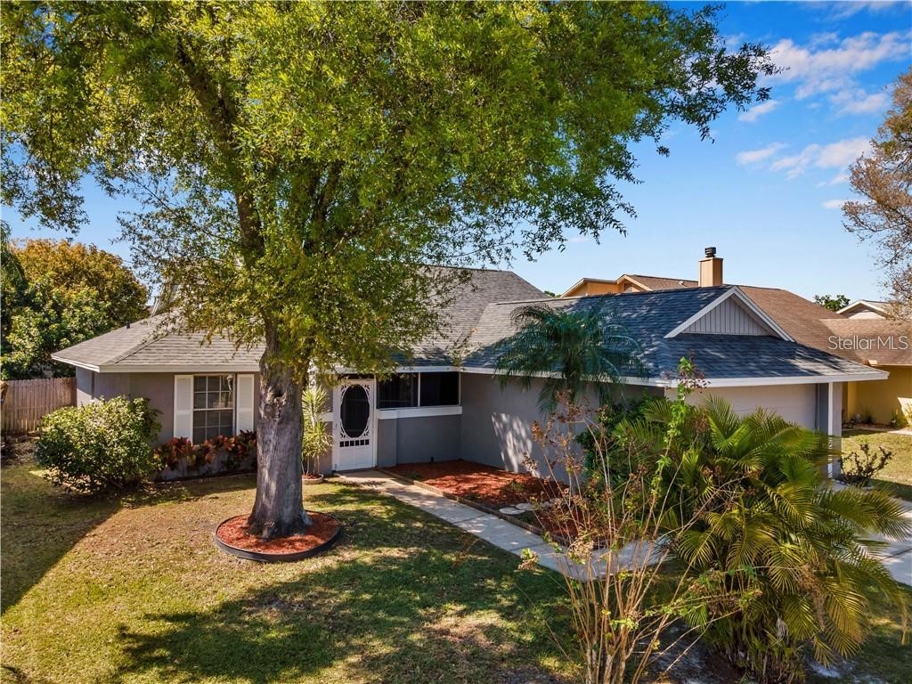 7110 Hollowell Drive Tampa FL 33634 TB8515577 image3